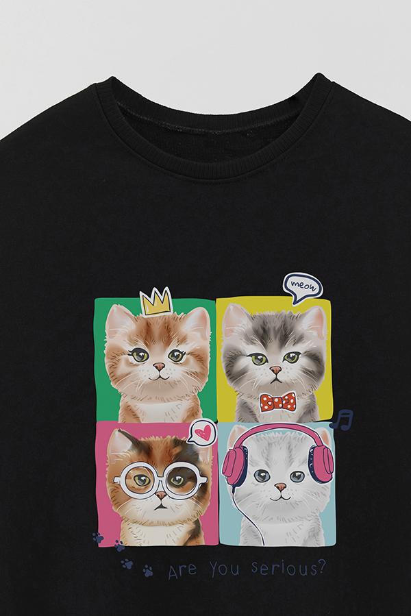 BUZO CREWNECK RUSTICO KITTY DREAMS SERIOUS