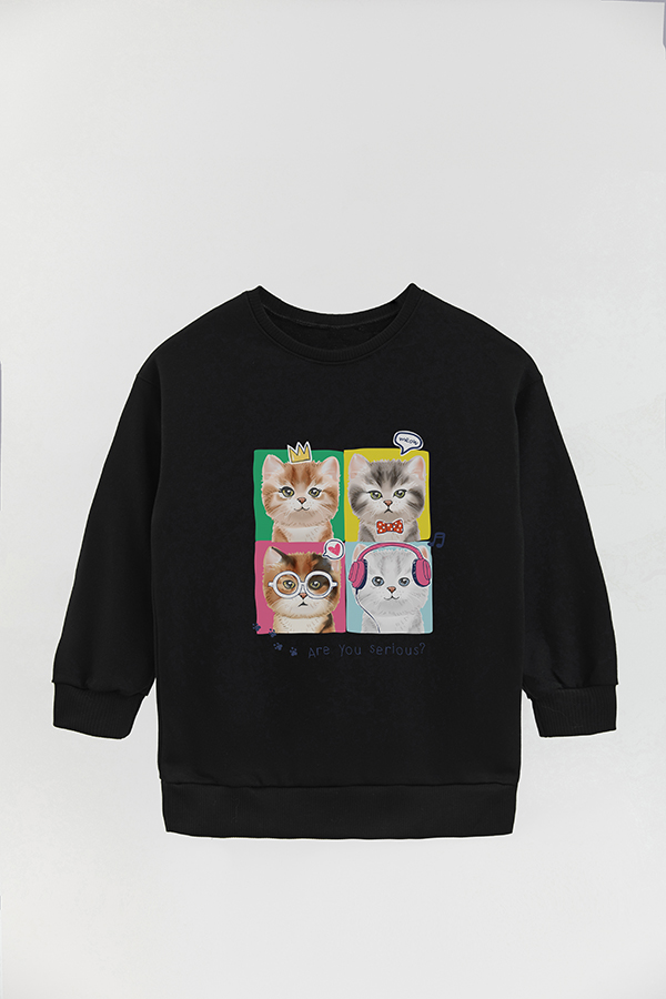 BUZO CREWNECK RUSTICO KITTY DREAMS SERIOUS