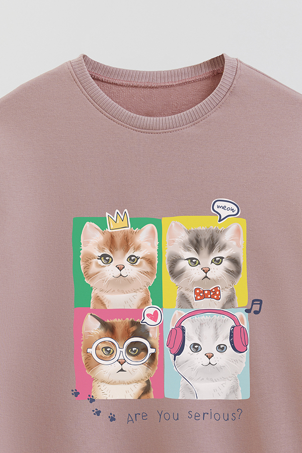 BUZO CREWNECK RUSTICO KITTY DREAMS SERIOUS