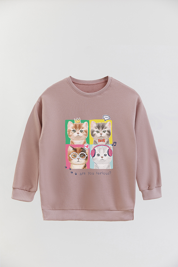 BUZO CREWNECK RUSTICO KITTY DREAMS SERIOUS