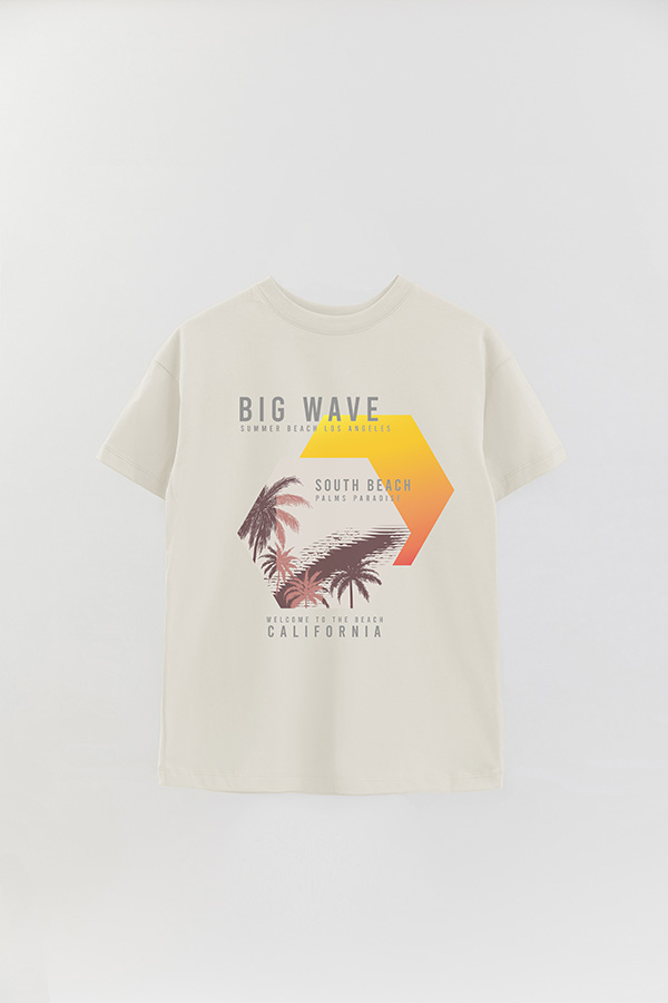 REMERA OVER ESTAMPADA BIG WAVE