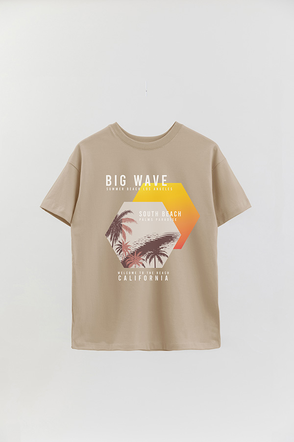 REMERA OVER ESTAMPADA BIG WAVE