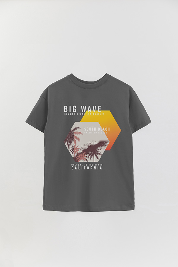 REMERA OVER ESTAMPADA BIG WAVE