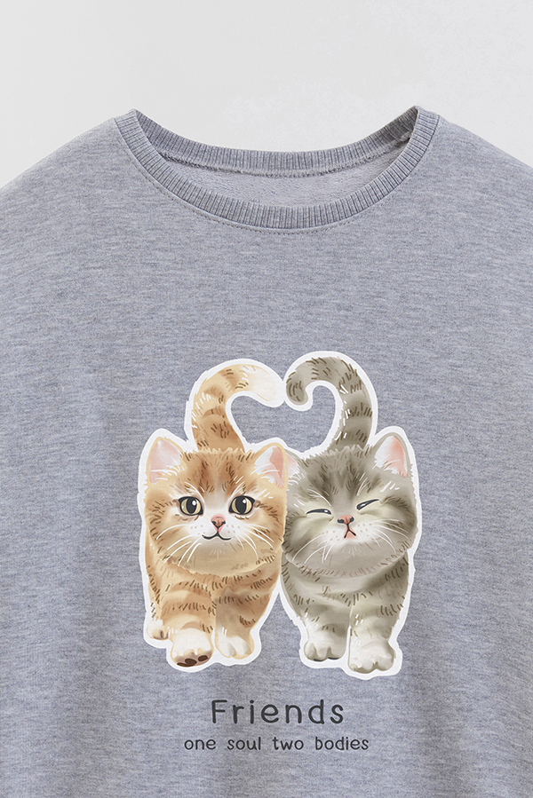BUZO CREWNECK RUSTICO KITTY DREAMS FRIENDS