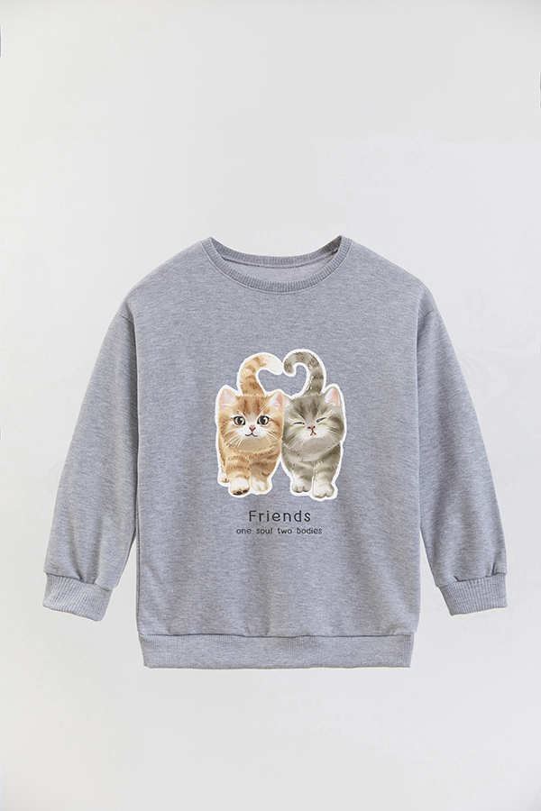 BUZO CREWNECK RUSTICO KITTY DREAMS FRIENDS