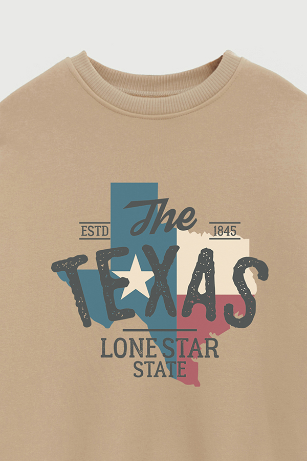 BUZO CREWNECK ESTAMPADO TEXAN TEXAS