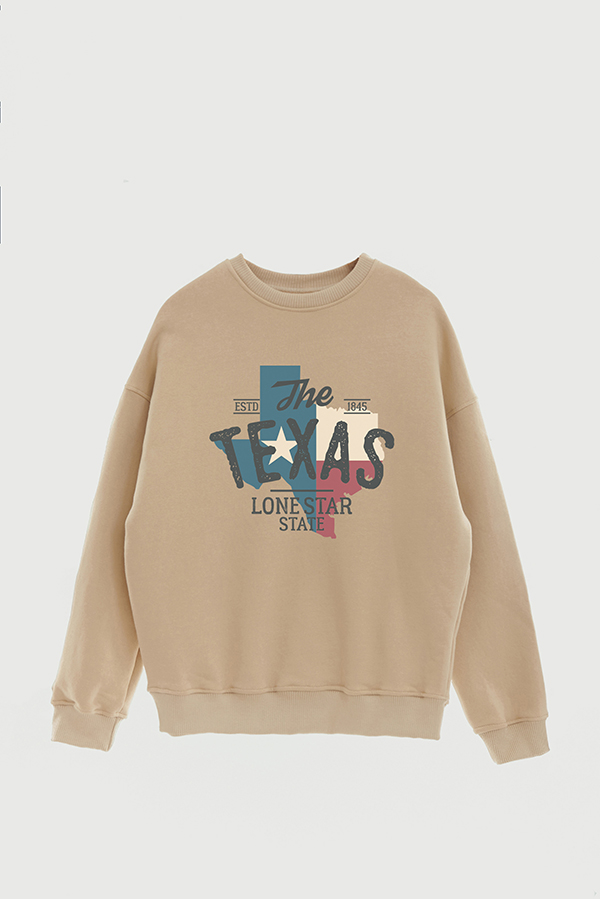 BUZO CREWNECK ESTAMPADO TEXAN TEXAS