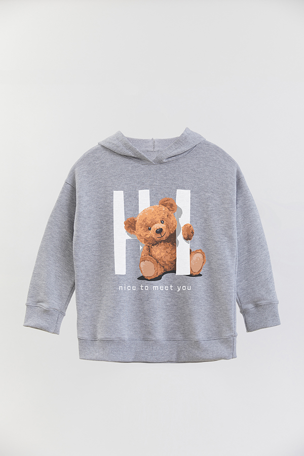 HOODIE RUSTICO BOY TEDDY HI