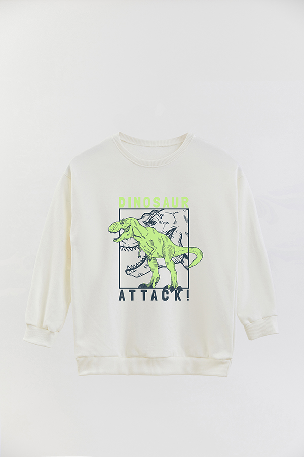 BUZO CREWNECK RUSTICO DINOSAUR