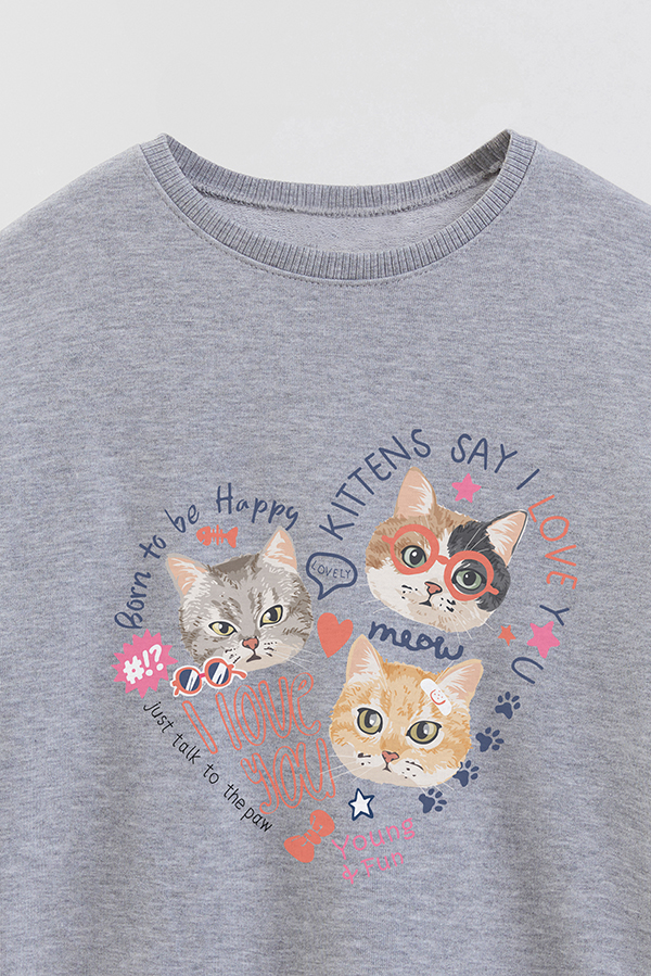 BUZO CREWNECK RUSTICO KITTY DREAMS YOUNG AND FUN
