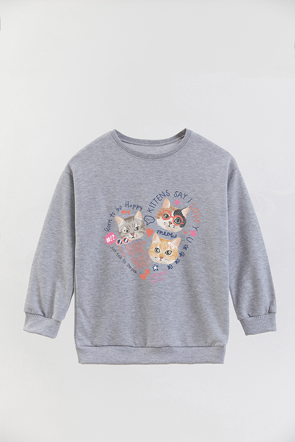 BUZO CREWNECK RUSTICO KITTY DREAMS YOUNG AND FUN