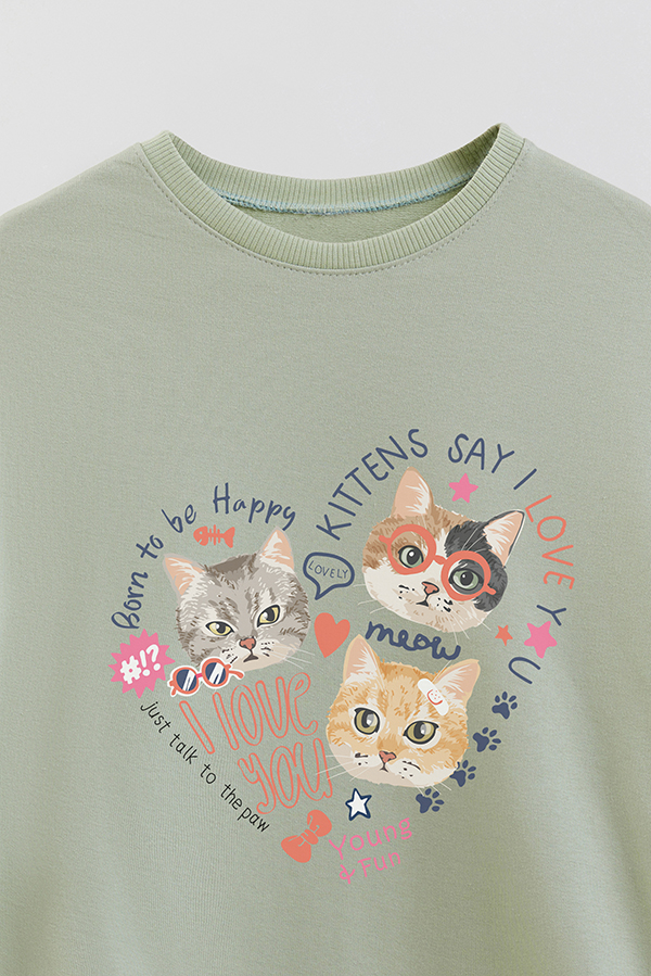 BUZO CREWNECK RUSTICO KITTY DREAMS YOUNG AND FUN