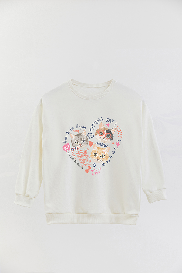 BUZO CREWNECK RUSTICO KITTY DREAMS YOUNG AND FUN