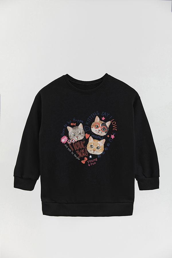 BUZO CREWNECK RUSTICO KITTY DREAMS YOUNG AND FUN