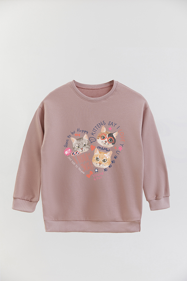 BUZO CREWNECK RUSTICO KITTY DREAMS YOUNG AND FUN