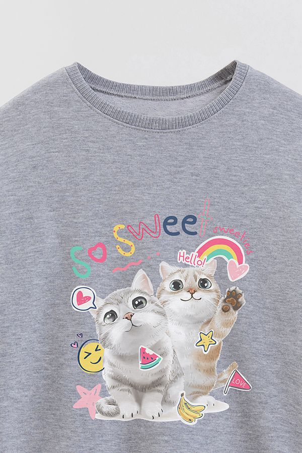 BUZO CREWNECK RUSTICO KITTY DREAMS SO SWEET