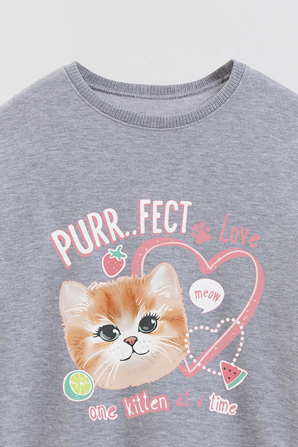 BUZO CREWNECK RUSTICO KITTY DREAMS PURRFECT