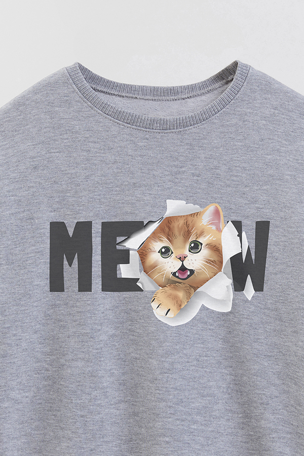 BUZO CREWNECK RUSTICO KITTY DREAMS MEOW