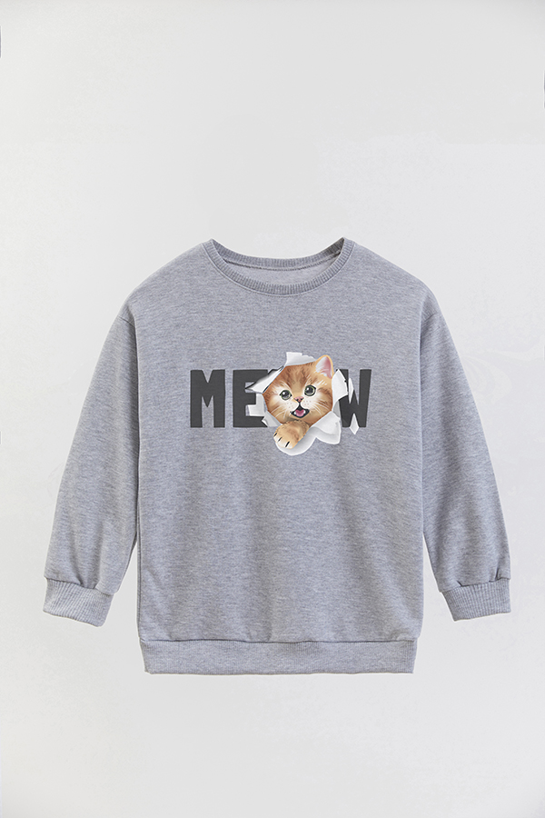 BUZO CREWNECK RUSTICO KITTY DREAMS MEOW