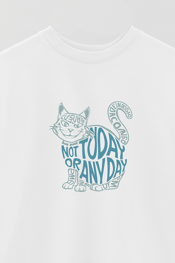 REMERA OVER ESTAMPADA CAT NOT TODAY 2