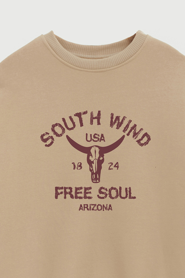 BUZO CREWNECK ESTAMPADO WESTERN SOUTH WIND