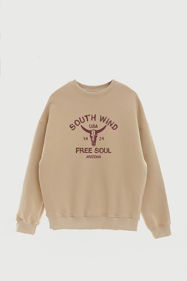 BUZO CREWNECK ESTAMPADO WESTERN SOUTH WIND