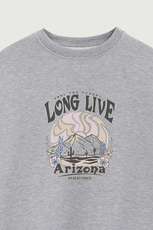 BUZO CREWNECK ESTAMPADO WESTERN LONG LIVE