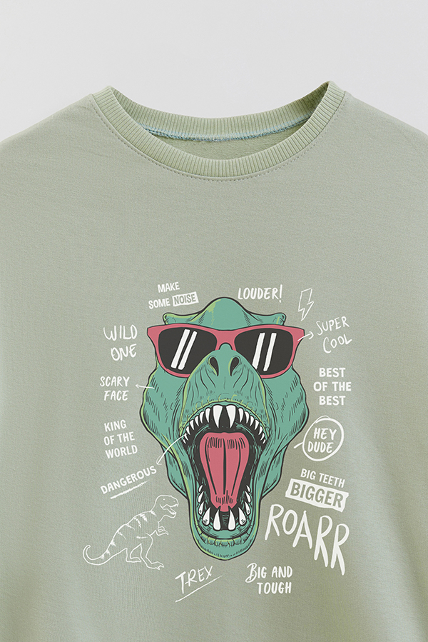 BUZO CREWNECK RUSTICO DINOSAUR ROARR
