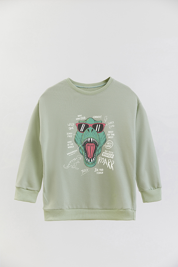 BUZO CREWNECK RUSTICO DINOSAUR ROARR