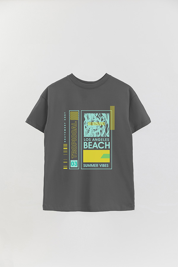 REMERA OVER ESTAMPADA LOS ANGELES BEACH