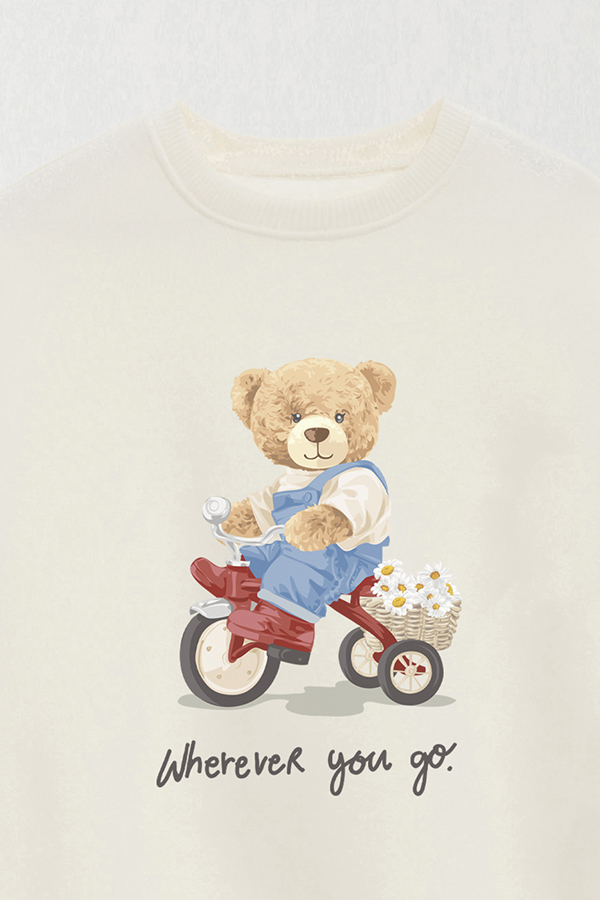 BUZO TEDDY GO