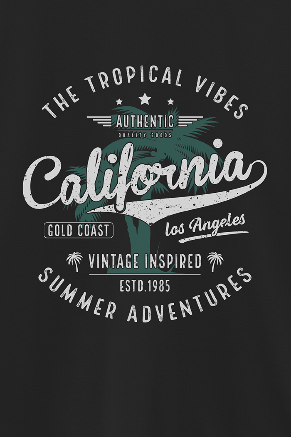 REMERA BASICA ESTAMPADA VG THE TROPICAL VIBES FLORIDA