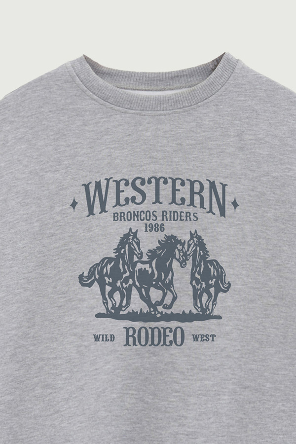 BUZO CREWNECK ESTAMPADO WESTERN RODEO