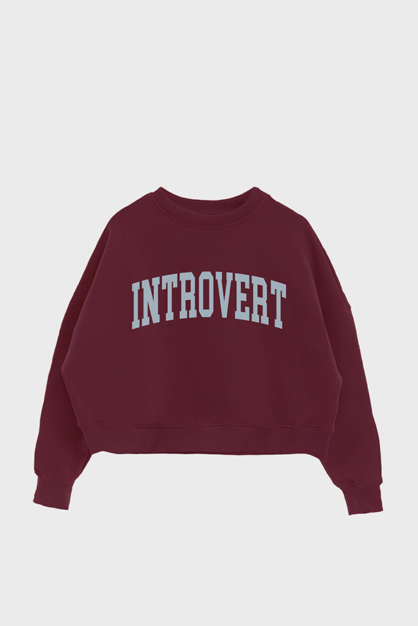 BUZO CROP ESTAMPADO VARSITY INTROVERT