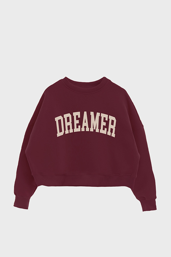 BUZO CROP ESTAMPADO VARSITY DREAMER