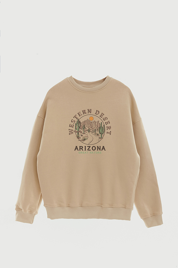BUZO CREWNECK ESTAMPADO WESTERN GREAT NATURE