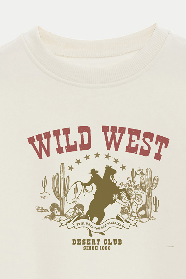 BUZO CROP ESTAMPADO TEXAN DESERT CLUB