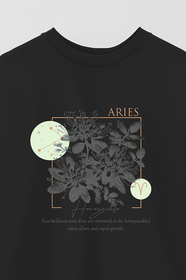 REMERA OVER ESTAMPADA ZODIAC ARIES